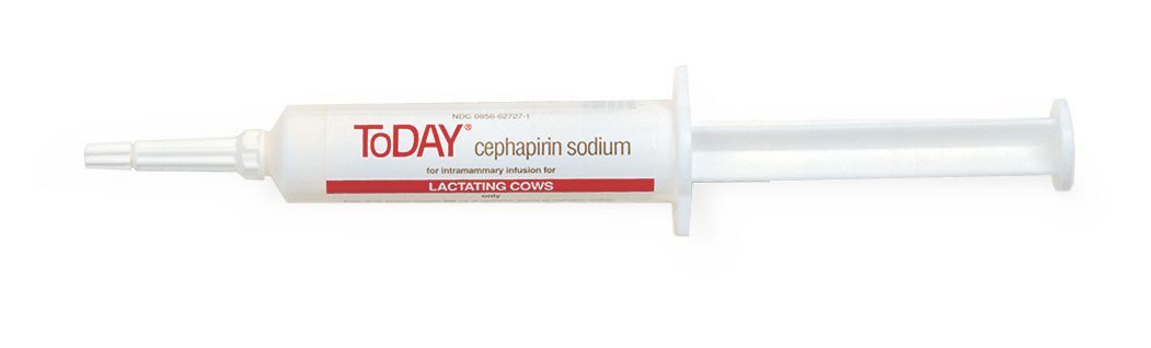 TODAY or CEFA-LAK (TUBE) TODAY or CEFA-LAK (TUBE)