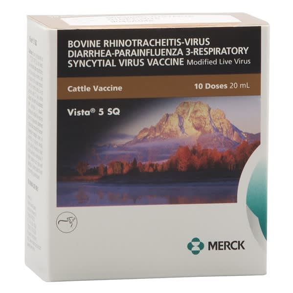 VISTA 5 VISTA 5
