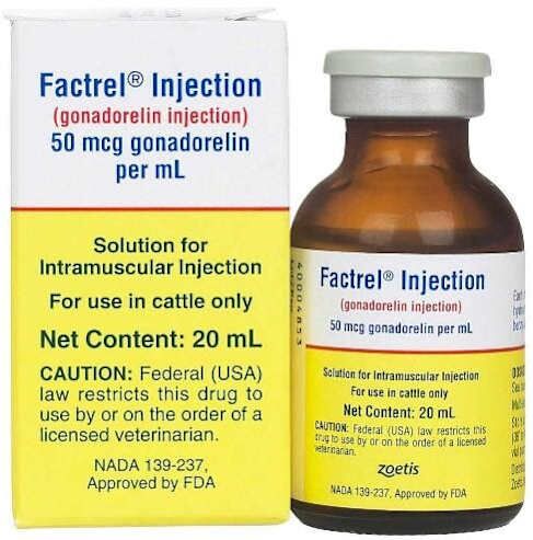 FACTREL FACTREL
