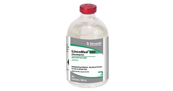 LINCOMIX 300 (100 ML) LINCOMIX 300 (100 ML)