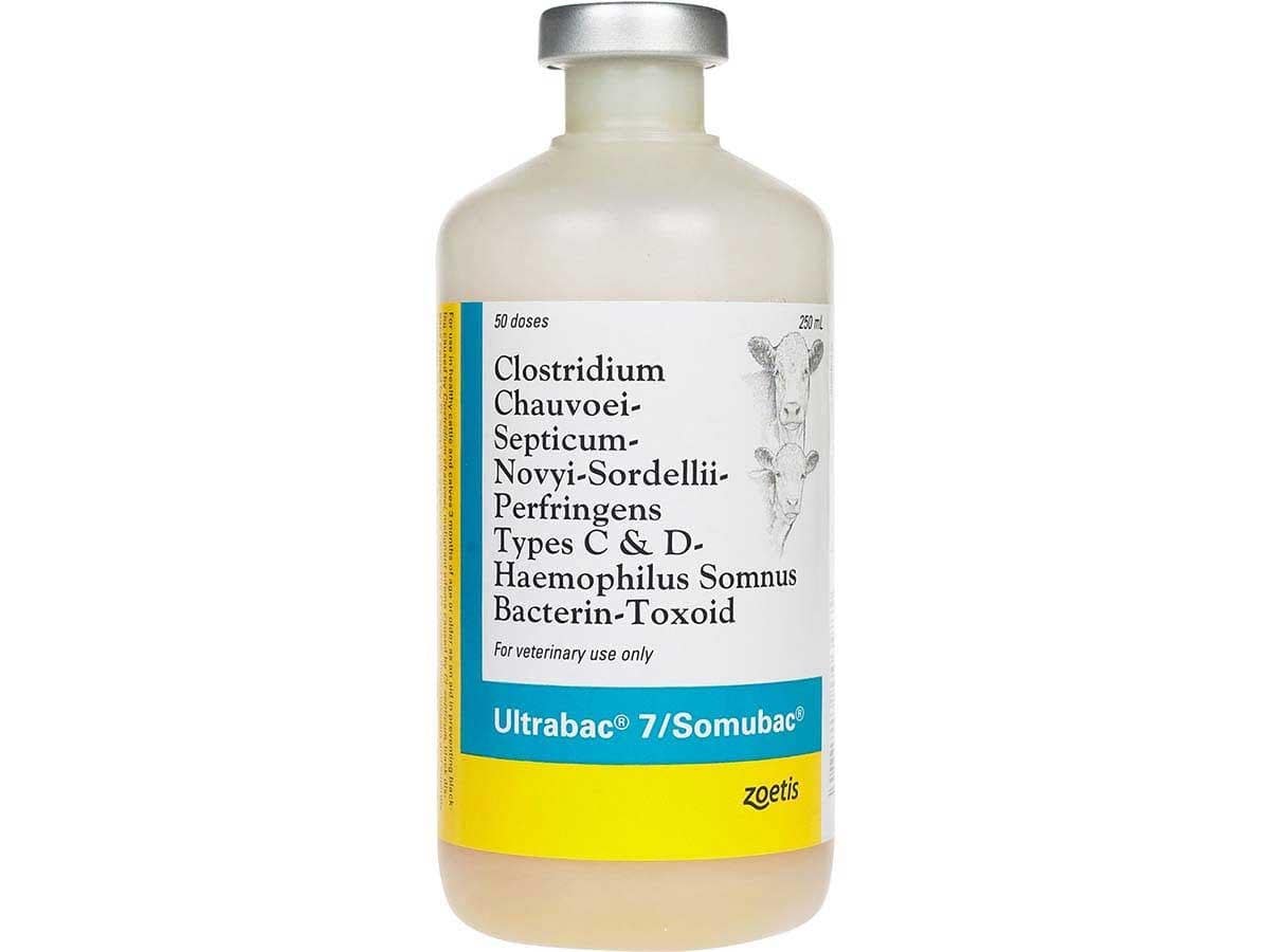 ULTRABAC 7/SOMNUS ULTRABAC 7/SOMNUS