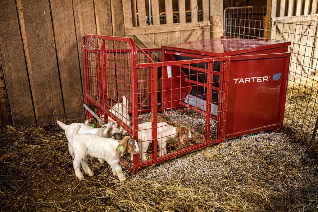EL FEEDER GOAT CREEP 650LB(TARTER) - Image 4